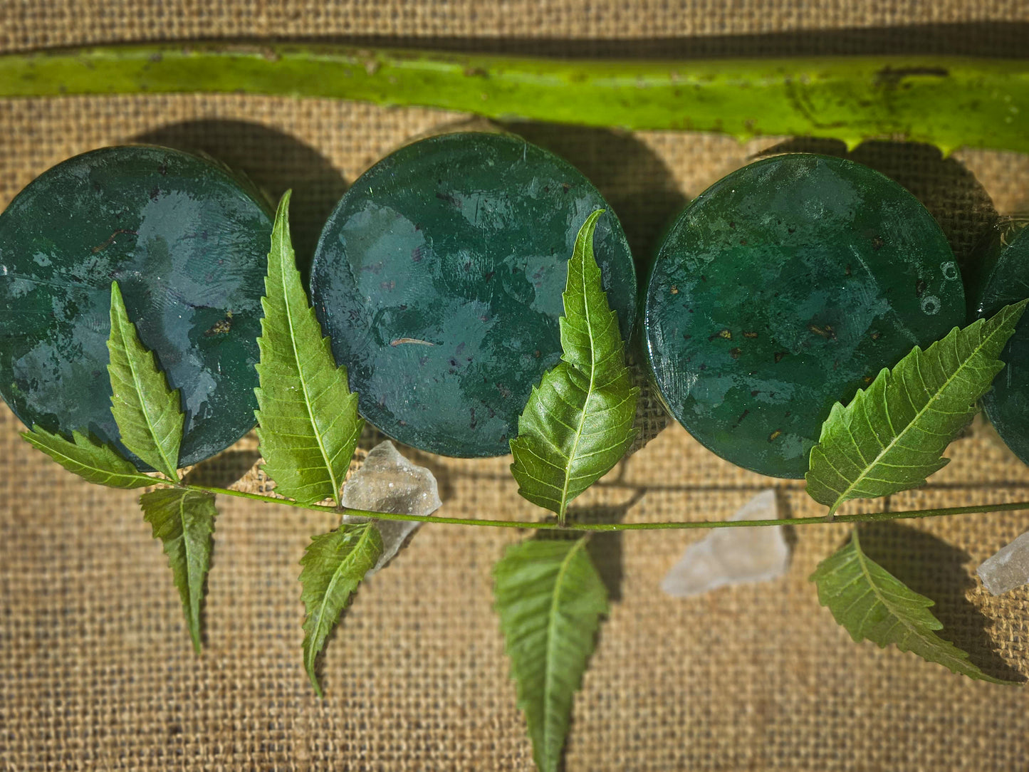 Neem Soap